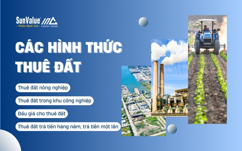 Các hình thức thuê đất phổ biến hiện nay